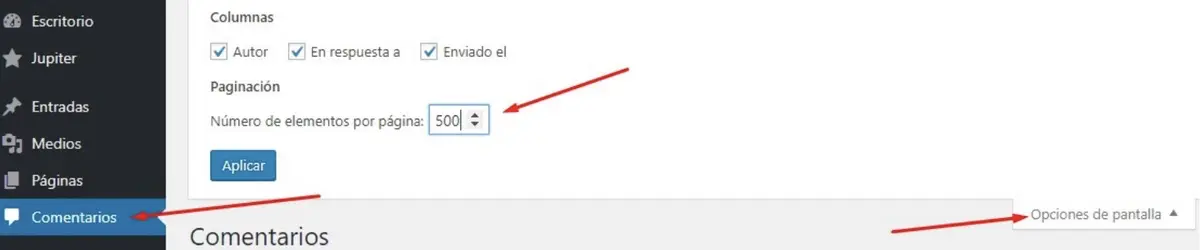 WordPress-cbcwpm-2.webp