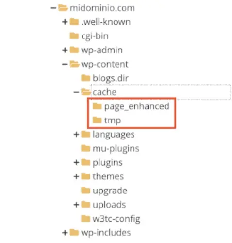 WordPress-cvcpw-9.webp