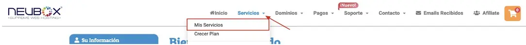 CorreoEmpresarial-dpcrdnsce-1.webp