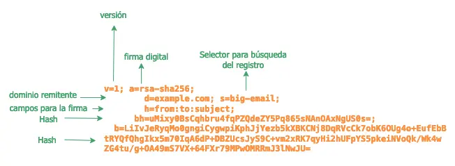 Correo-cddcaec-7.webp