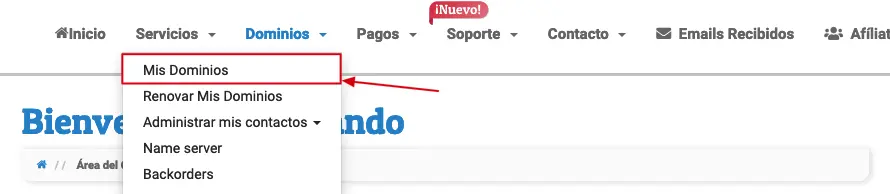 Dominios-caddnsdrn-1.webp