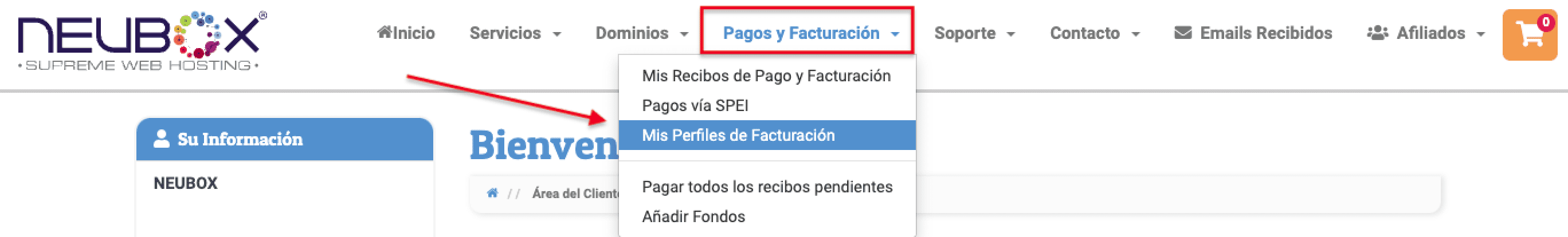 mis_perfiles_de_facturacion.png