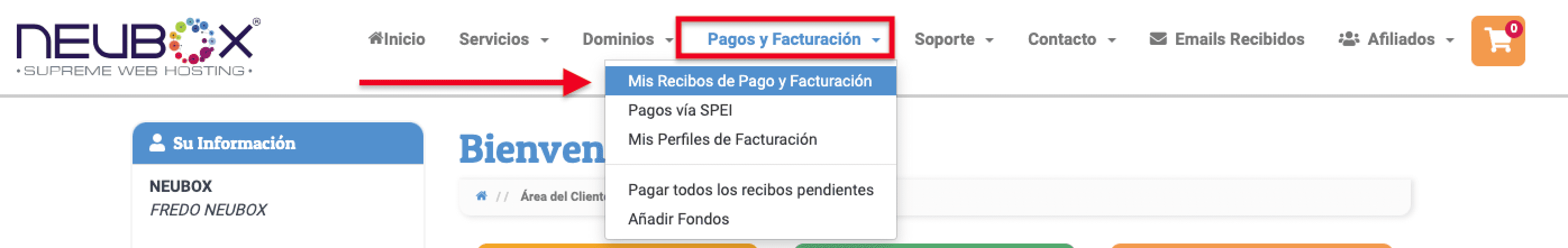 Sección de Mis Recibos de Pago y Facturación en NEUBOX