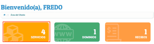 servicios_panel.png