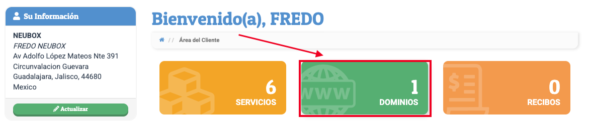 panel_clientes_dominios.png