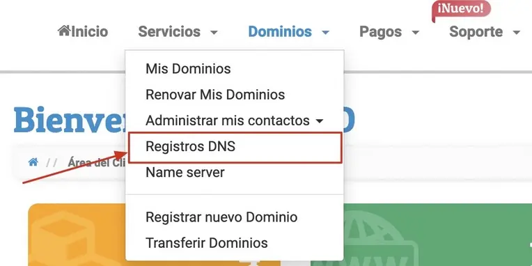 Dominios-ccmeradnsd-2.webp