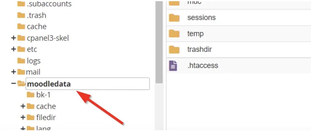 cPanel-clatM-3.webp