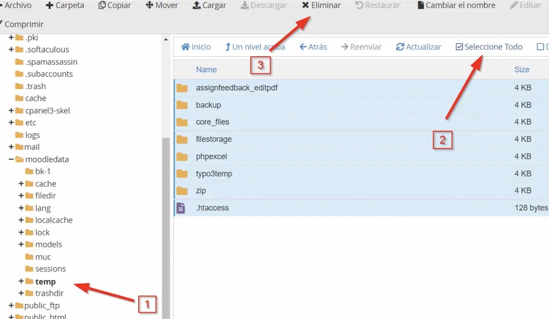cPanel-clatM-4.webp