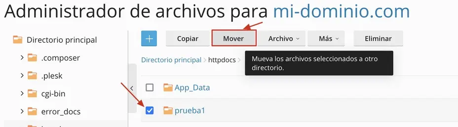 Plesk-cuaap-4.webp