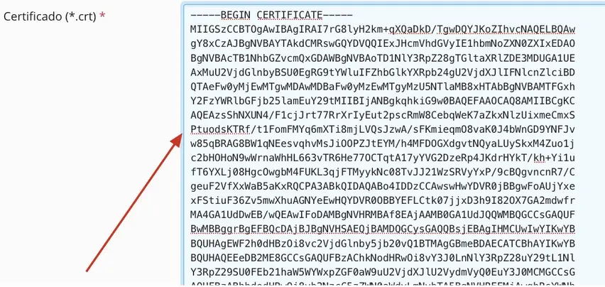 Plesk-cricsslpp-6.webp