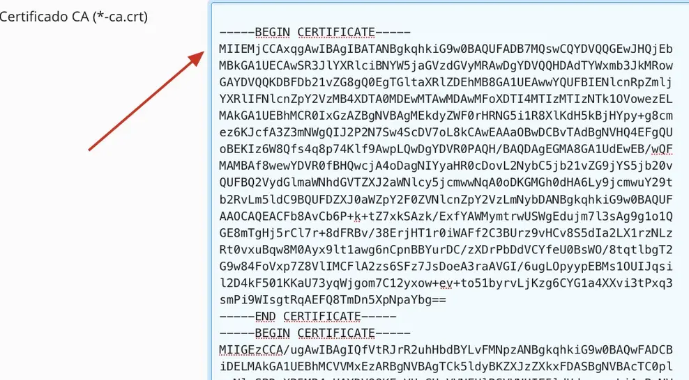 Plesk-cricsslpp-8.webp