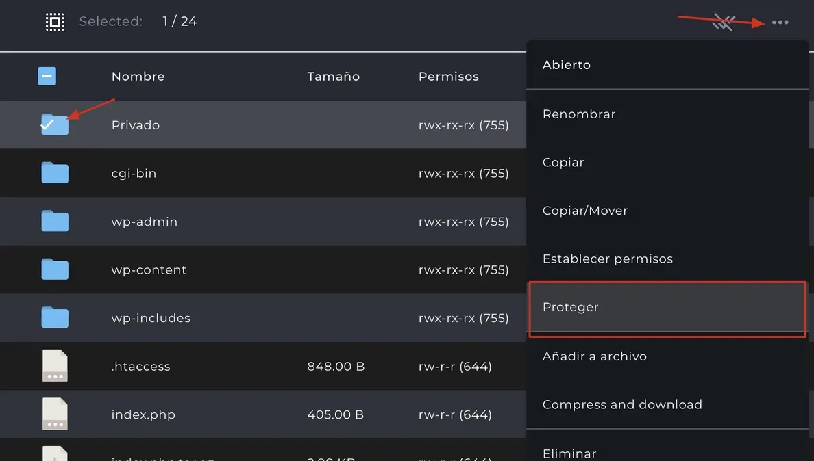 DirectAdmin-capcdda-2.webp